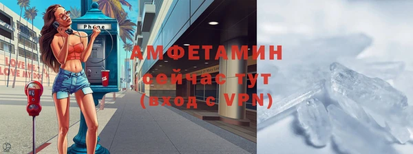 шишки Арсеньев