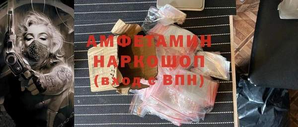 шишки Ладушкин
