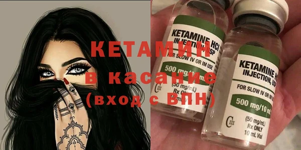 крисы Лагань
