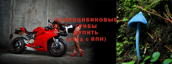 шишки Арсеньев