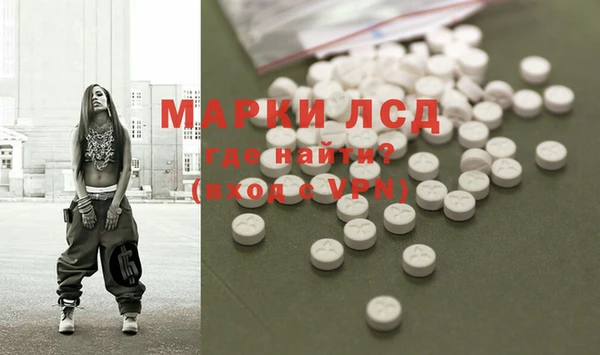 шишки Арсеньев