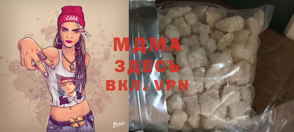 шишки Арсеньев