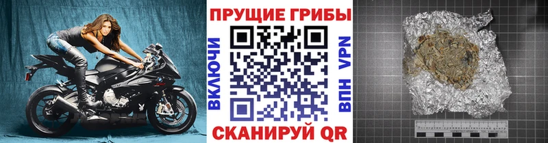 Псилоцибиновые грибы Magic Shrooms  закладки  KRAKEN ссылка  Сясьстрой 