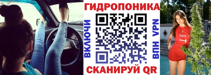 mega вход  Сясьстрой  Бошки Шишки план  где можно купить наркотик 